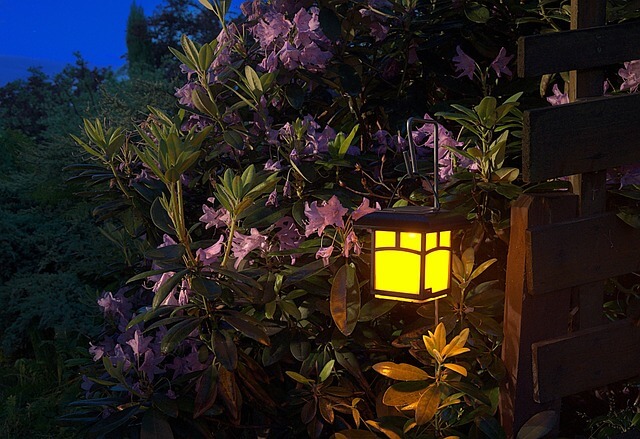 lanterne solaire dans un jardin