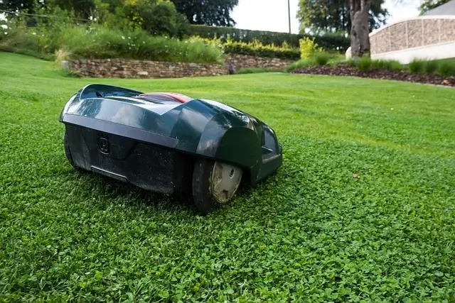 pelouse uniforme avec robot tondeuse
