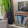 Disques Vinyles : Guide complet