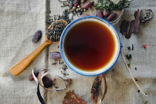 Théier : Cultiver son propre thé chez soi