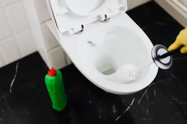 Enlever le Tartre des WC : 5 Astuces Étonnantes