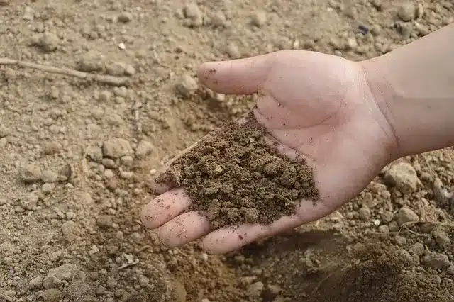 terre dans une main