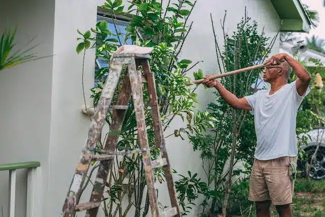 Rénovation durable : Comment le jardinage peut transformer votre espace de vie ?