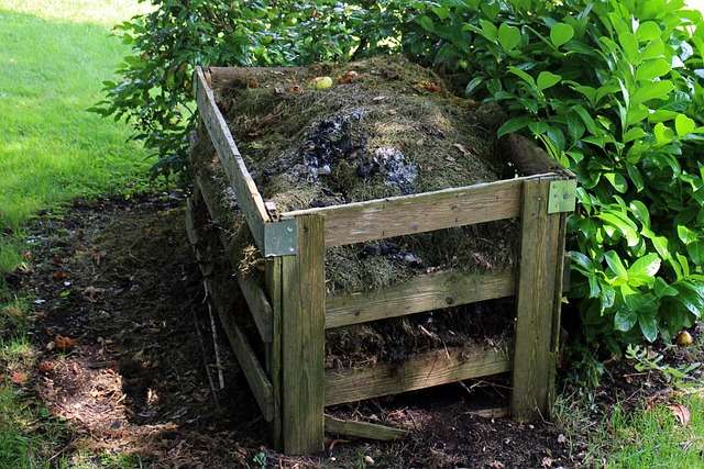 Tonte de gazon dans le compost, bonne ou mauvaise idée ?