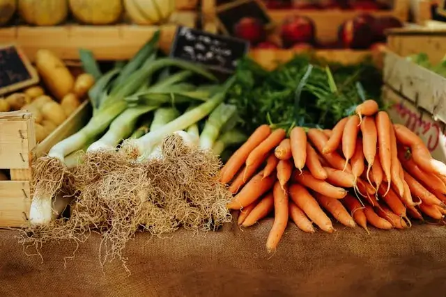 panier bio plein de legumes