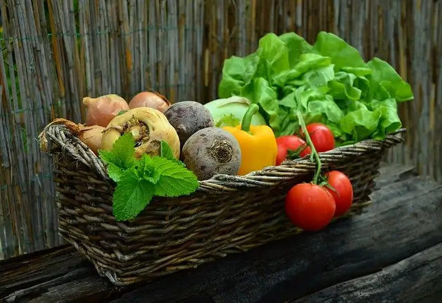 panier-bio-legumes