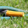 Jardin et canicule : 10 conseils pour protéger tes plantes de la sécheresse