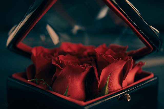 Rose éternelle, qui es-tu ?
