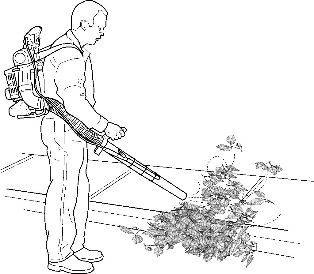 Souffleur de feuilles : comment effectuer un choix judicieux ?