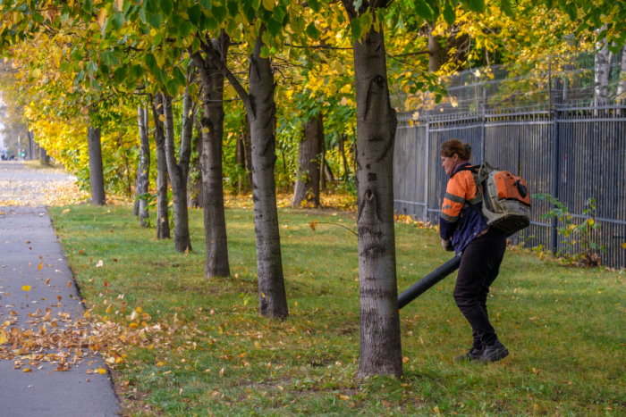 femme avec souffleur de feuilles en automne